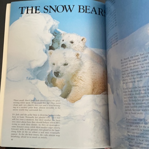 Winter Fun - A Book Full of Things to do in Cold Weather Puzzles Stories Kids - Picture 6 of 6